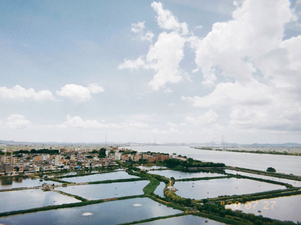 當(dāng)高鐵施工污染魚(yú)塘之后